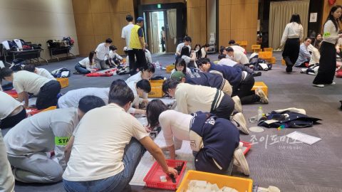 2025 세람저축은행 도미노 챌린지 사진 47