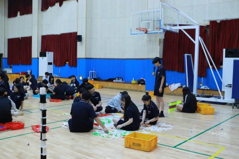 학교체험활동 도미노게임의 교육적 가치 사진 12
