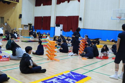 학교체험활동 도미노게임의 교육적 가치 사진 13