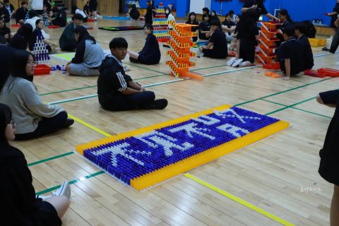 학교체험활동 도미노게임의 교육적 가치 사진 14