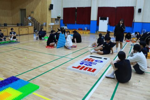 학교체험활동 도미노게임의 교육적 가치 사진 17