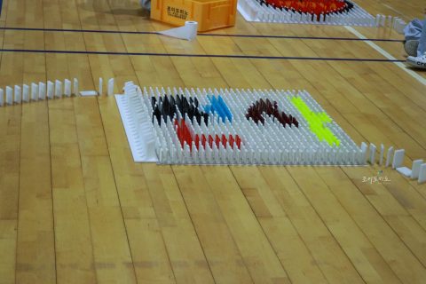 제7회 필락 청소년축제 도미노 쌓기 사진 9