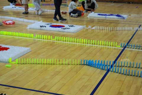 제7회 필락 청소년축제 도미노 쌓기 사진 27