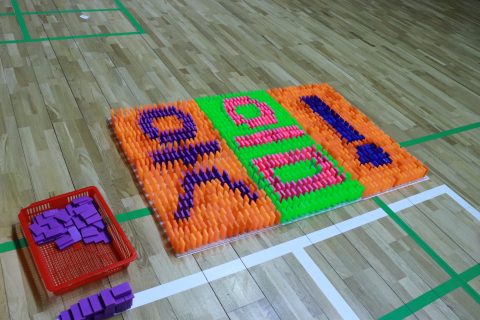 속초중학교 도미노 체험학습 사진 1