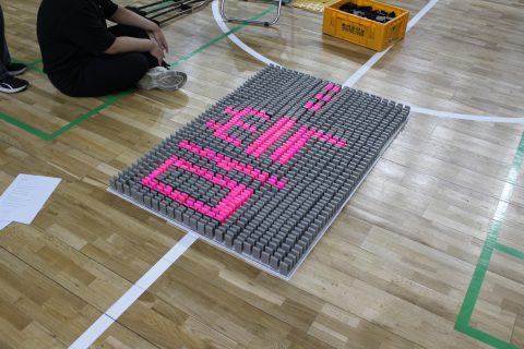 속초중학교 도미노 체험학습 사진 2