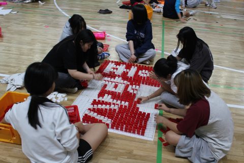 속초중학교 도미노 체험학습 사진 15