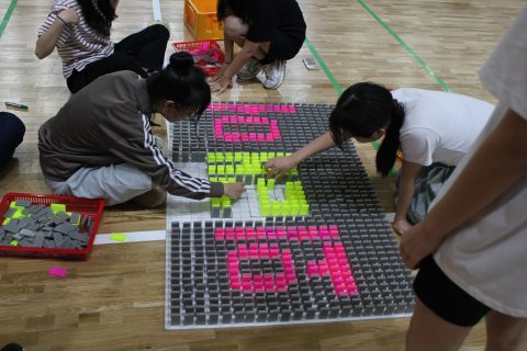 속초중학교 도미노 체험학습 사진 16