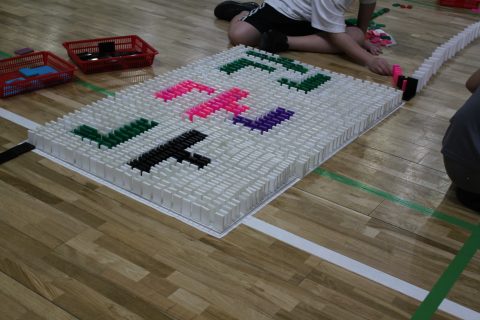 속초중학교 도미노 체험학습 사진 25