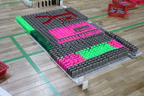 속초중학교 도미노 체험학습 사진 27