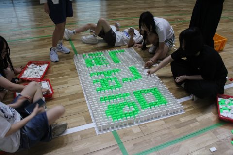 속초중학교 도미노 체험학습 사진 34