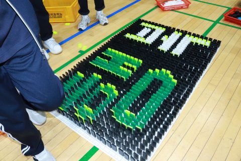 김포한가람 중학교 협동도미노 게임 사진 8