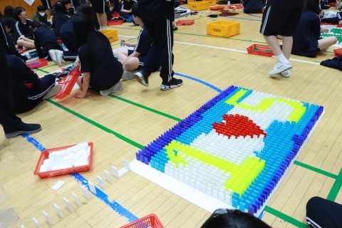김포한가람 중학교 협동도미노 게임 사진 10