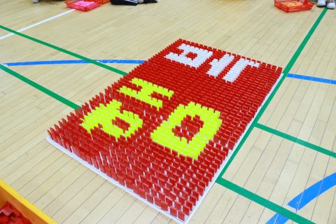 김포한가람 중학교 협동도미노 게임 사진 13