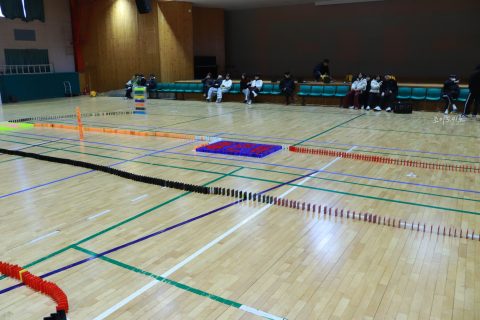 경기물류고등학교 2024교육과정 발표회/비폭력 캠페인 도미노 프로그램 사진 7