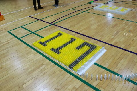 경기물류고등학교 2024교육과정 발표회/비폭력 캠페인 도미노 프로그램 사진 10