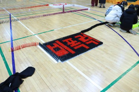경기물류고등학교 2024교육과정 발표회/비폭력 캠페인 도미노 프로그램 사진 28