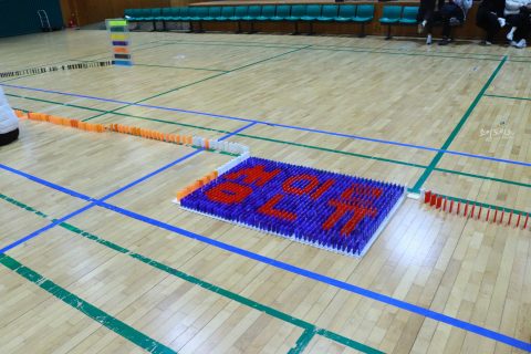 경기물류고등학교 2024교육과정 발표회/비폭력 캠페인 도미노 프로그램 사진 30